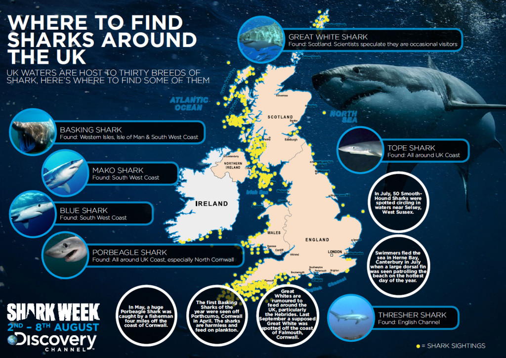 shark week uk infographic